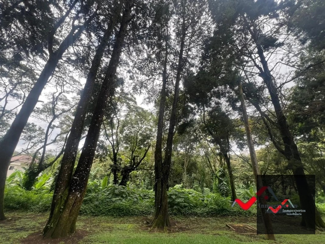 Terreno en venta Carretera a el Salvador km 22.5 Premier Campestre - 6