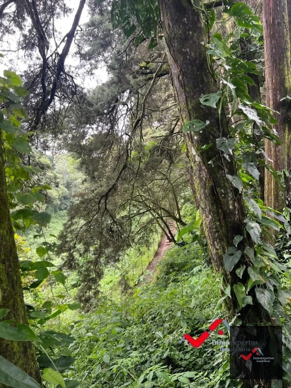 Terreno en venta Carretera a el Salvador km 22.5 Premier Campestre - 5