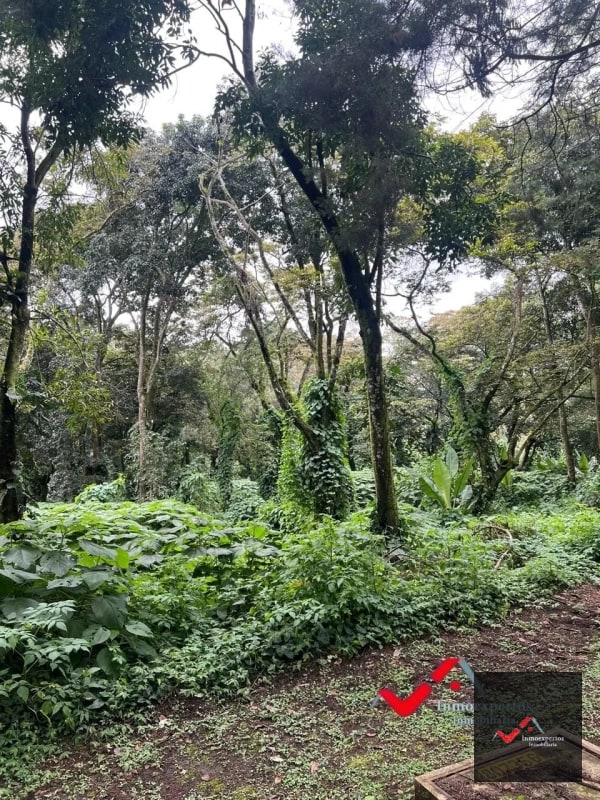 Terreno en venta Carretera a el Salvador  km 22.5  Premier Campestre - 3