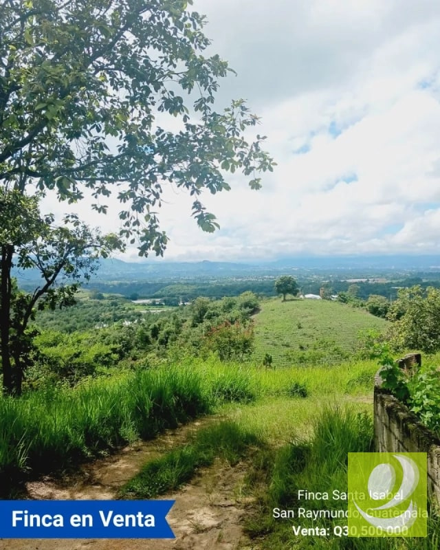 Finca en Venta de 300 Manzanas en San Raymundo - 10