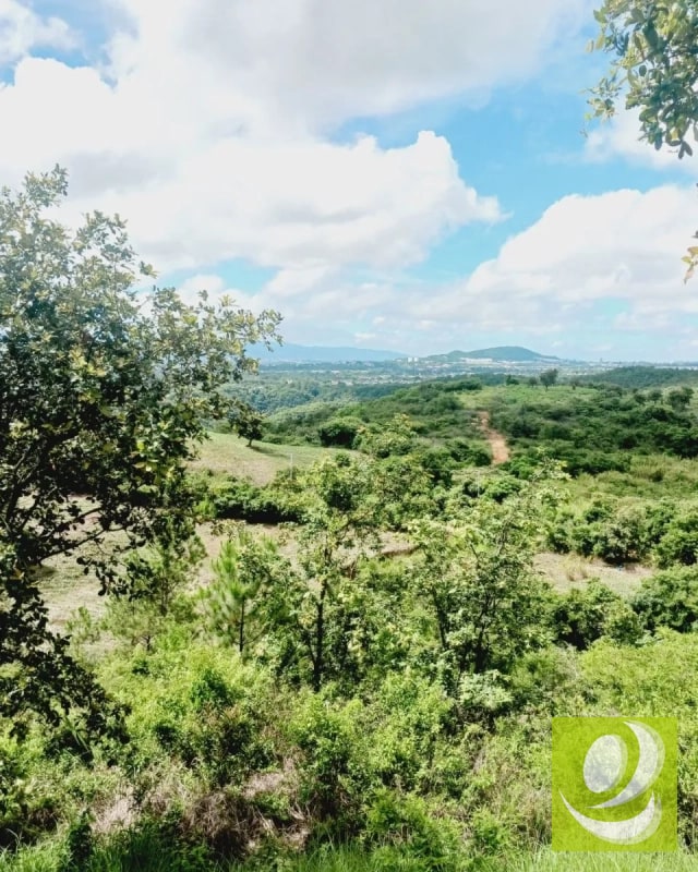 Finca en Venta de 300 Manzanas en San Raymundo - 9