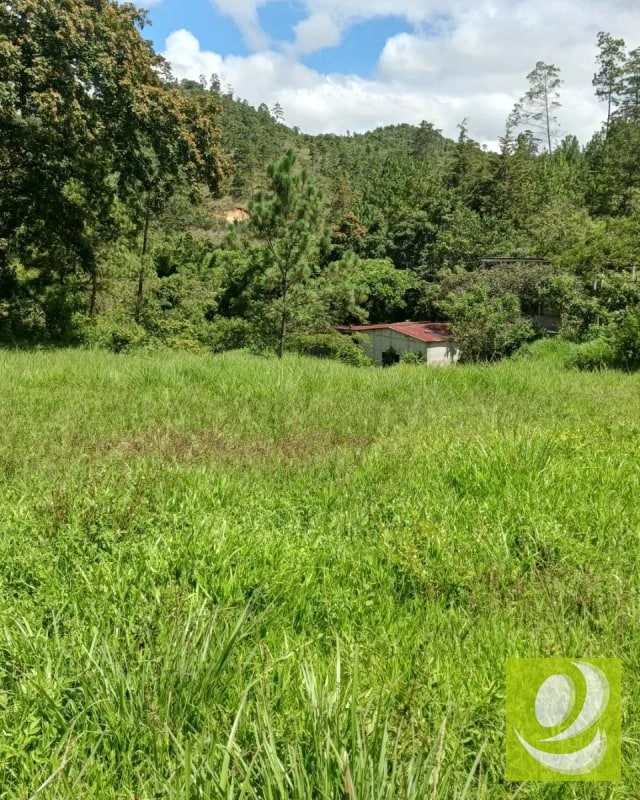 Finca en Venta de 300 Manzanas en San Raymundo - 8
