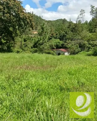 Finca en Venta de 300 Manzanas en San Raymundo — Finca en Venta en San Raimundo, Guatemala, Ciudad — miniatura 9 de 10