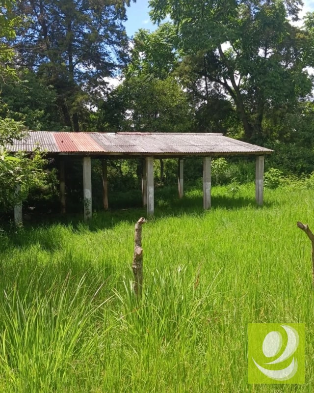 Finca en Venta de 300 Manzanas en San Raymundo - 7