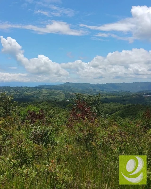 Finca en Venta de 300 Manzanas en San Raymundo - 5
