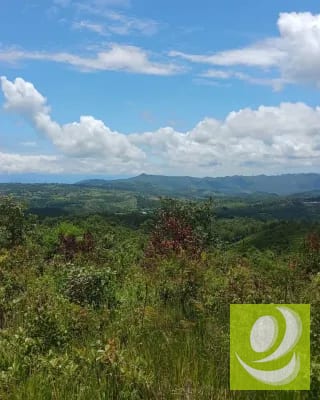 Finca en Venta de 300 Manzanas en San Raymundo — Finca en Venta en San Raimundo, Guatemala, Ciudad — miniatura 6 de 10