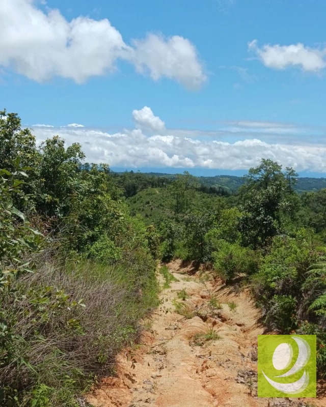 Finca en Venta de 300 Manzanas en San Raymundo - 4