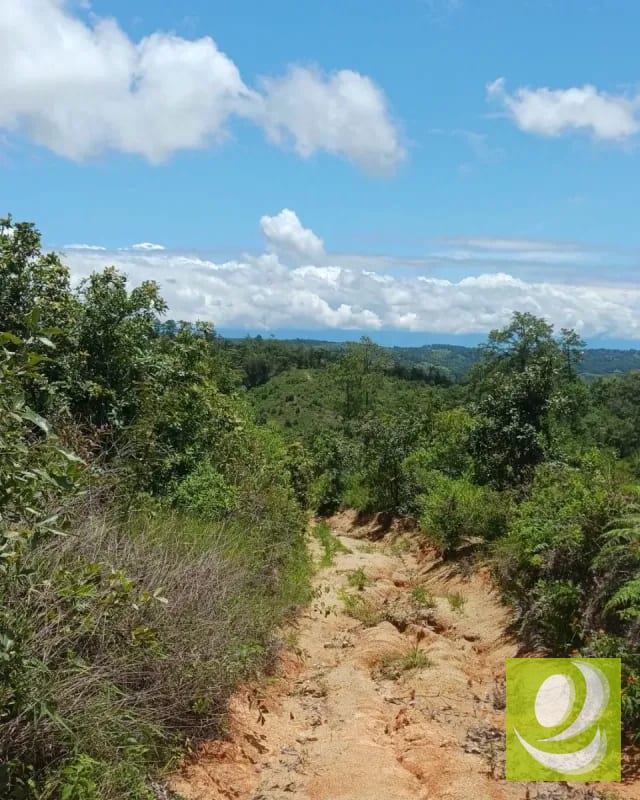 Finca en Venta de 300 Manzanas en San Raymundo — Finca en Venta en San Raimundo, Guatemala, Ciudad — foto 5 de 10