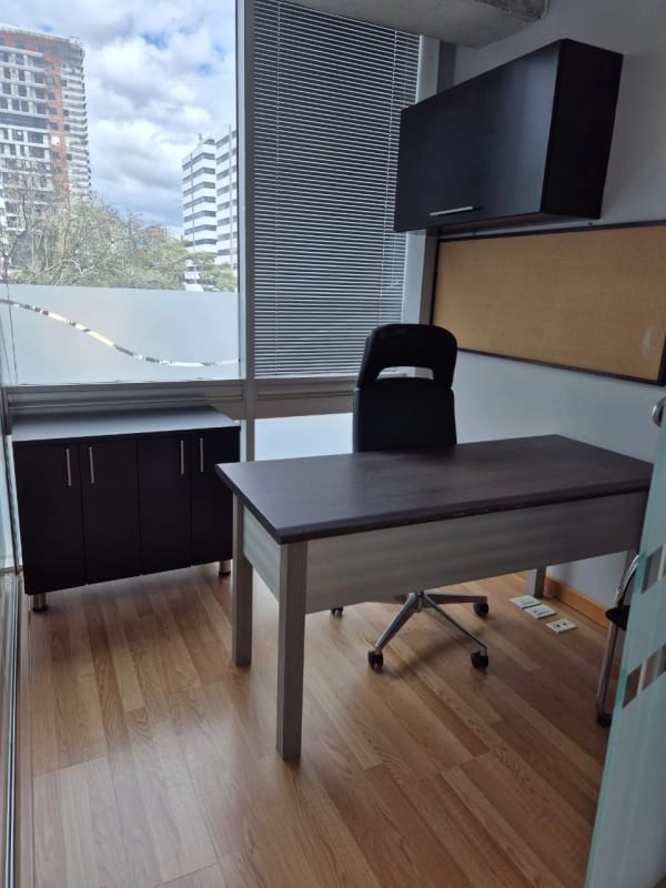 Oficina en renta Edificio Platina zona 10 — Oficina en Alquiler en Zona 10, Guatemala, Ciudad — foto 4 de 17