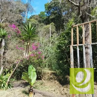 Finca en Venta de 3 manzanas San Pedro, Sacatepéquez — Finca en Venta en San Pedro Sacatepéquez, Sacatepéquez — miniatura 6 de 7