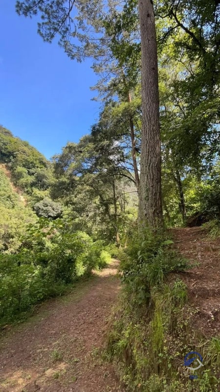 11 manzanas de terreno en venta entre El Encinal y San Pedro Sacatepéquez, - 7