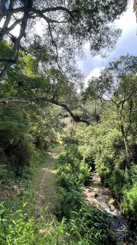 11 manzanas de terreno en venta entre El Encinal y San Pedro Sacatepéquez, - 6
