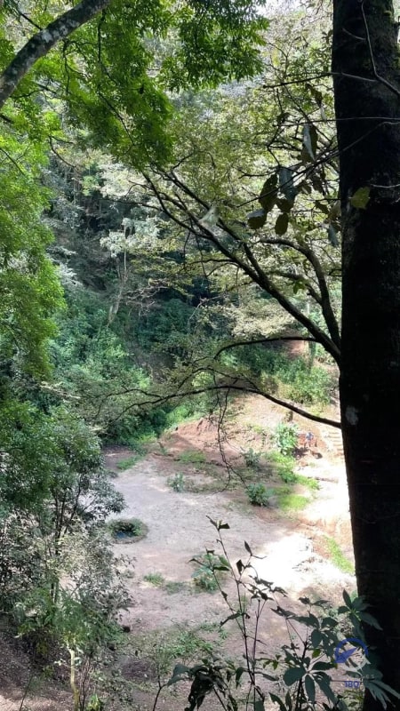 11 manzanas de terreno en venta entre El Encinal y San Pedro Sacatepéquez, - 5