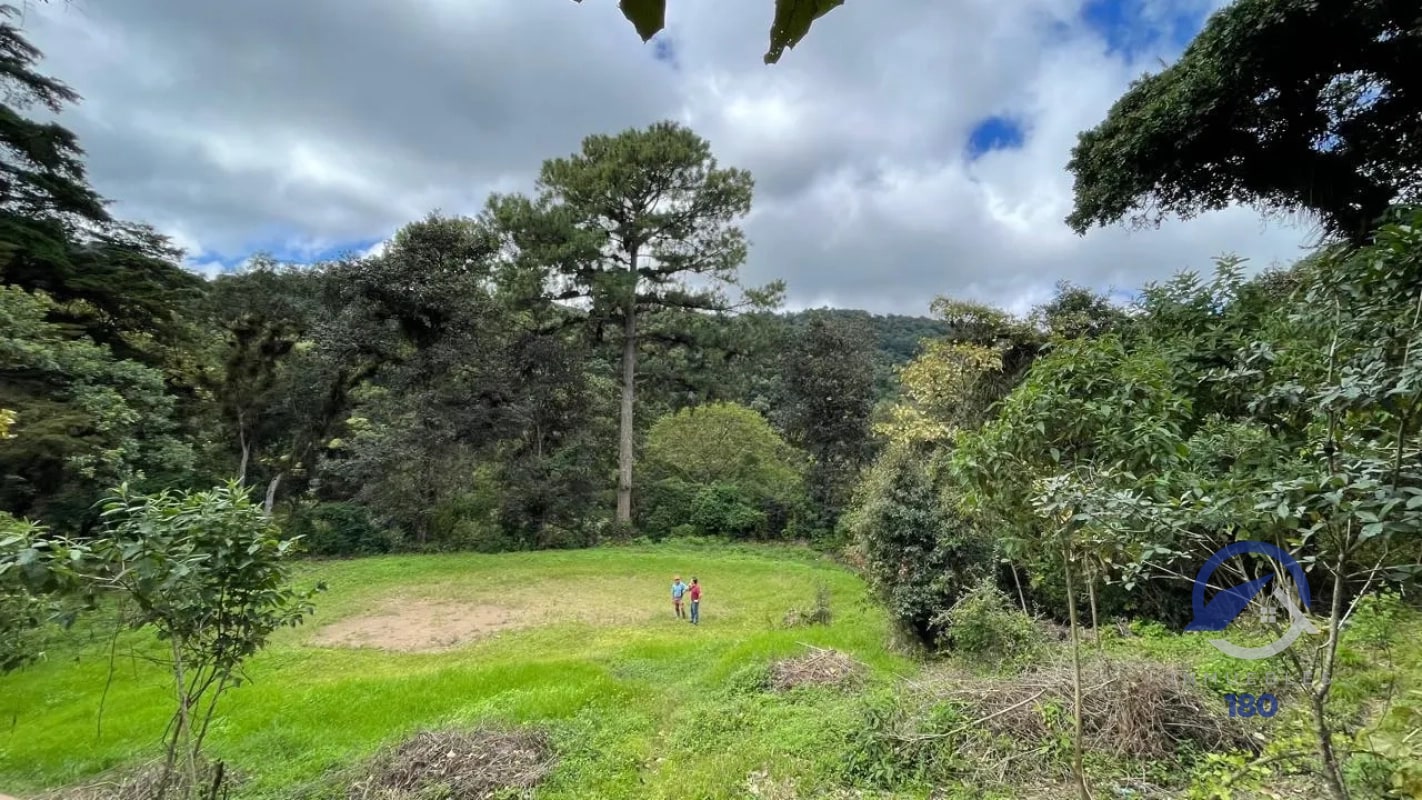 11 manzanas de terreno en venta entre El Encinal y San Pedro Sacatepéquez, - 2