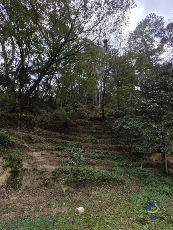 11 manzanas de terreno en venta entre El Encinal y San Pedro Sacatepéquez, - 1