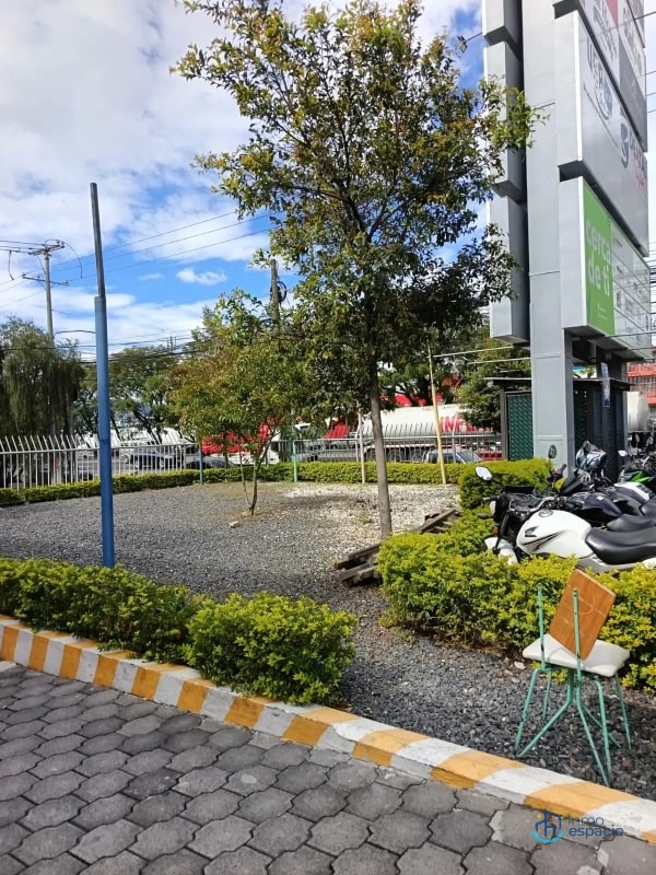 Terreno en Renta, Zona 12-Plaza Vía Nova - 3