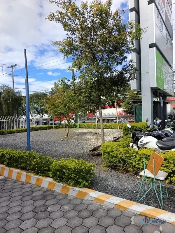 Terreno en Renta, Zona 12-Plaza Vía Nova — Terreno en Alquiler en Zona 12, Guatemala, Ciudad — foto 4 de 4