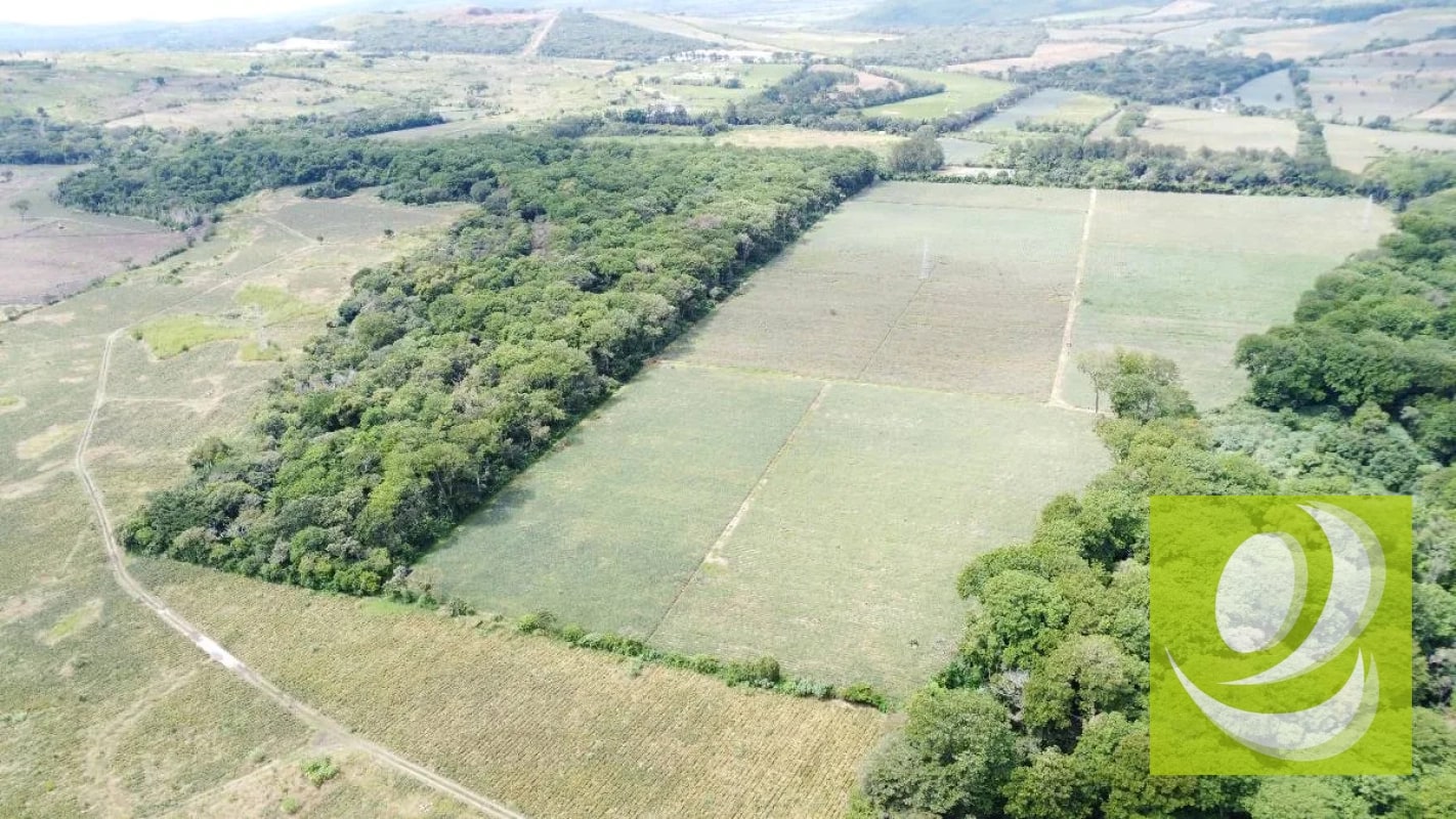 FINCA DE 17 MZ EN VENTA CERCA DE CARRETERA A EL SALVADOR - 4