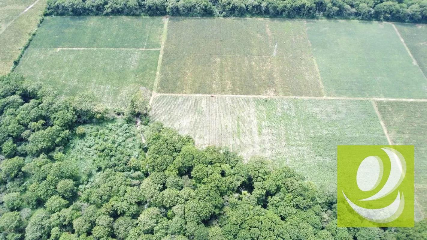 FINCA DE 17 MZ EN VENTA CERCA DE CARRETERA A EL SALVADOR - 5