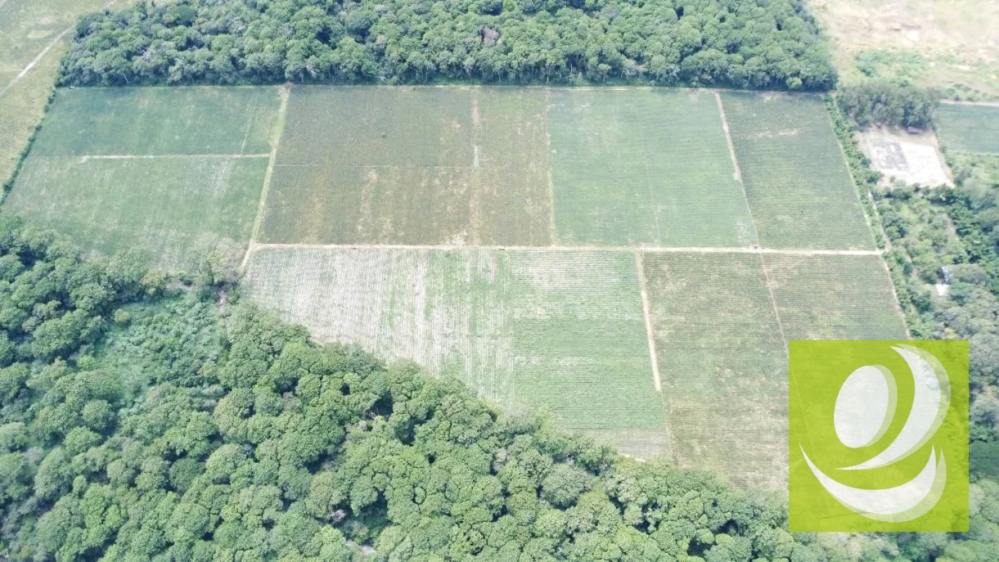 FINCA DE 17 MZ EN VENTA CERCA DE CARRETERA A EL SALVADOR - 2