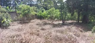 Terreno en venta ubicado en Vistas de Versalles Carretera a Barillas Villa Canales — Terreno en Venta en Villa Canales, Guatemala, Ciudad — miniatura 4 de 5