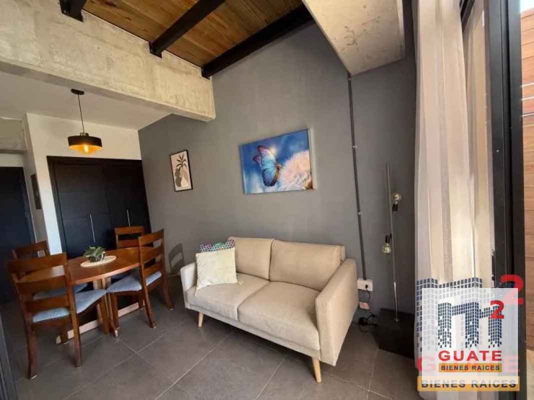 Apartamento en Renta, Zona 10 - 7