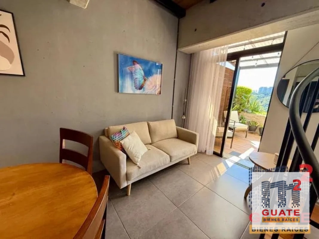 Apartamento en Renta, Zona 10 - 6