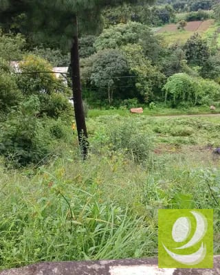 Terreno en Venta en Santiago Sacatepéquez — Terreno en Venta en Santiago Sacatepéquez, Sacatepéquez — miniatura 9 de 10