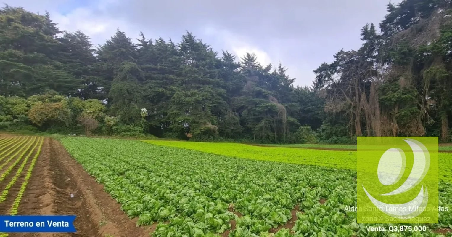 Terreno en Venta en Santo Tomas Milpas Altas, Sacatepéquez - 8