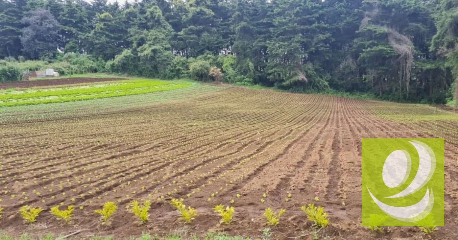Terreno en Venta en Santo Tomas Milpas Altas, Sacatepéquez - 3