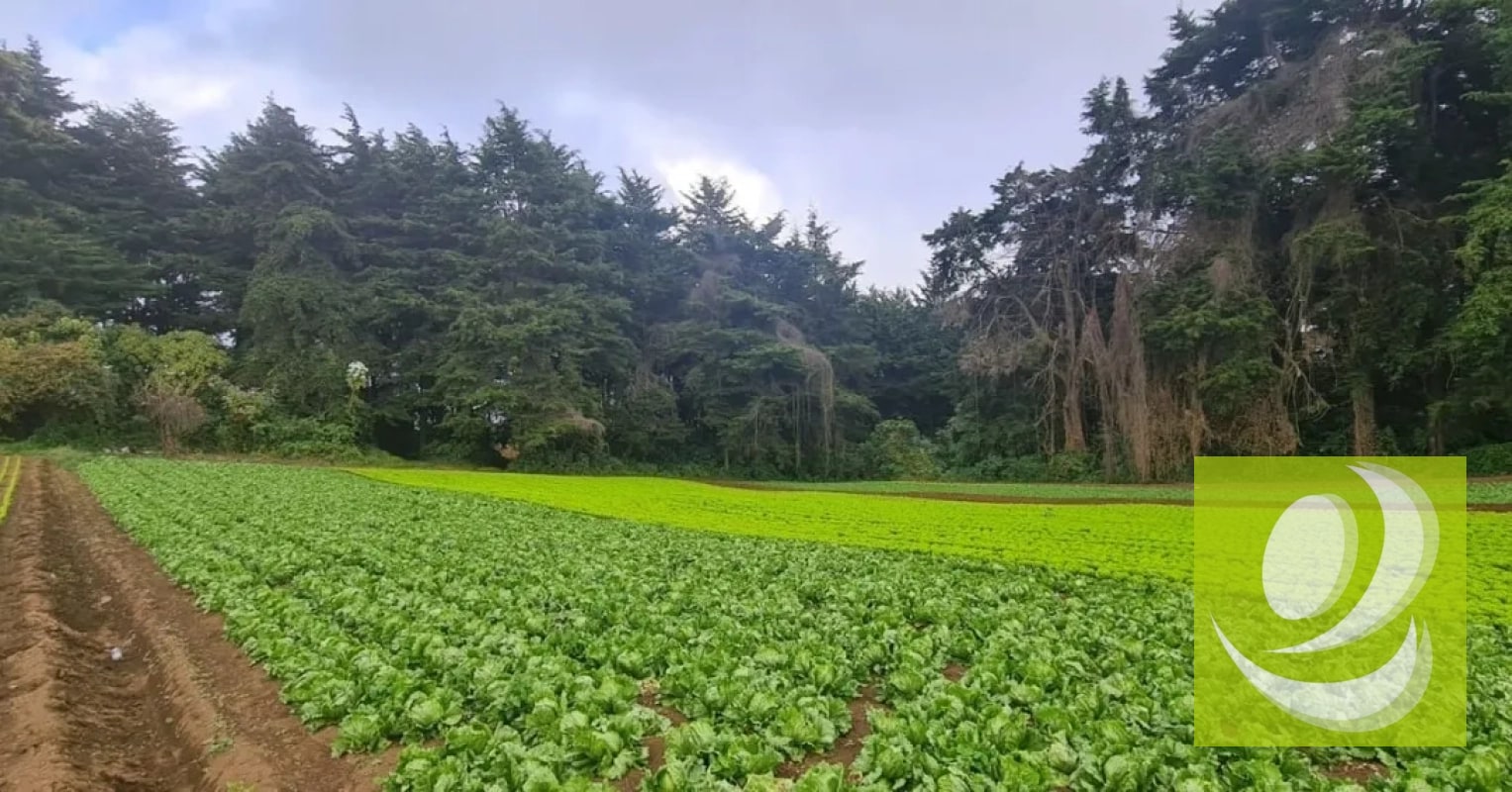 Terreno en Venta en Santo Tomas Milpas Altas, Sacatepéquez - 2