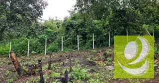 Terreno en Venta en Granjas La Colina I — Terreno en Venta en Santa Maria Cauqué, Sacatepéquez — miniatura 8 de 8