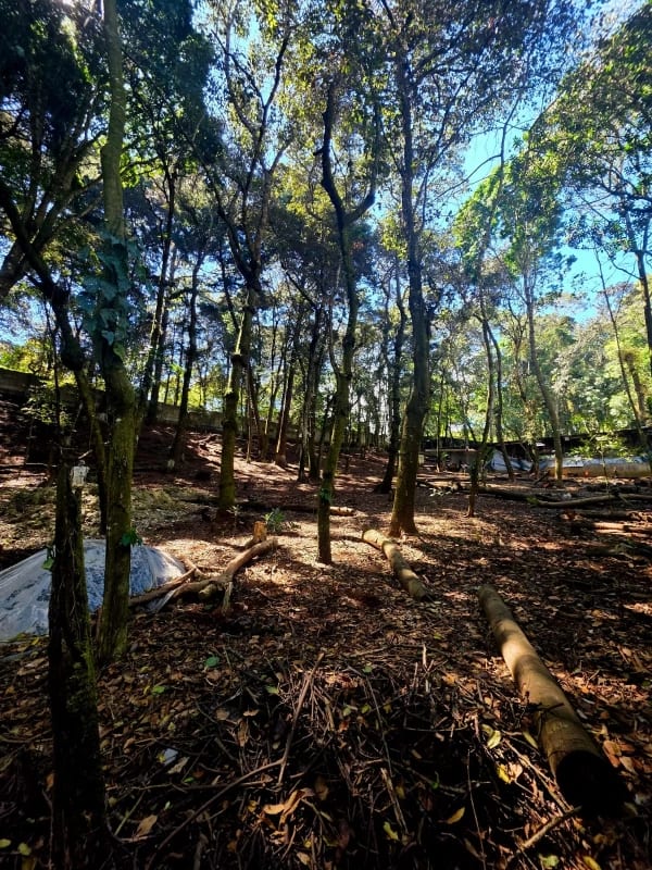 TERRENO EN VENTA SAN LUCAS SACATEPÉQUEZ — Terreno en Venta en San Lucas Sacatepéquez, Sacatepéquez — foto 5 de 6