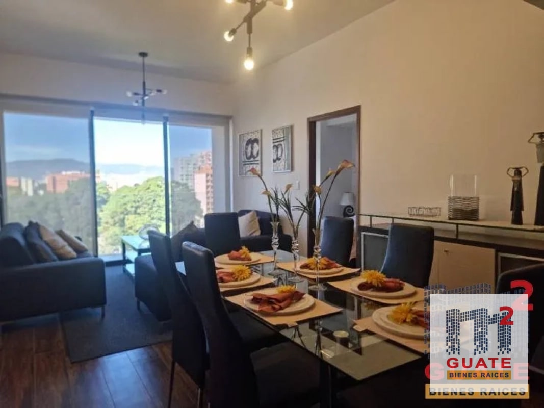 Apartamento en Renta, Zona 10 - 10