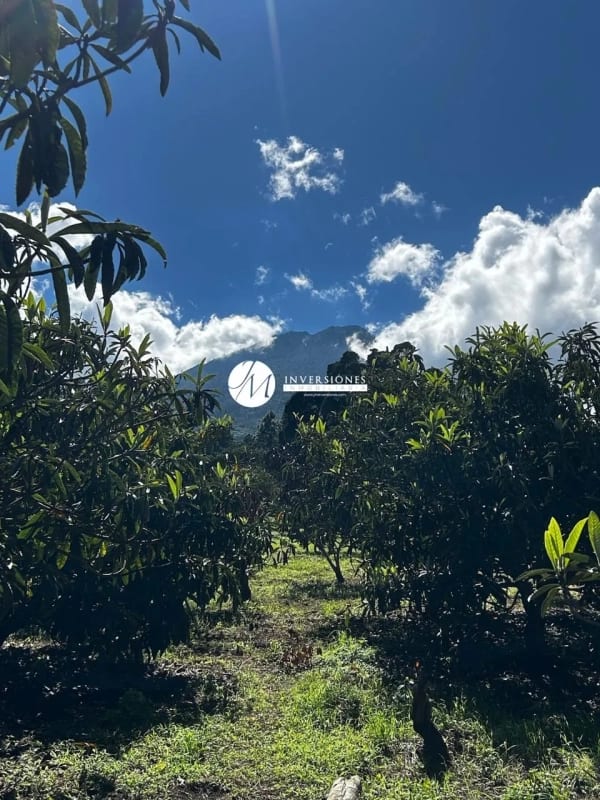 terreno en venta en antigua Guatemala - Miniatura 6