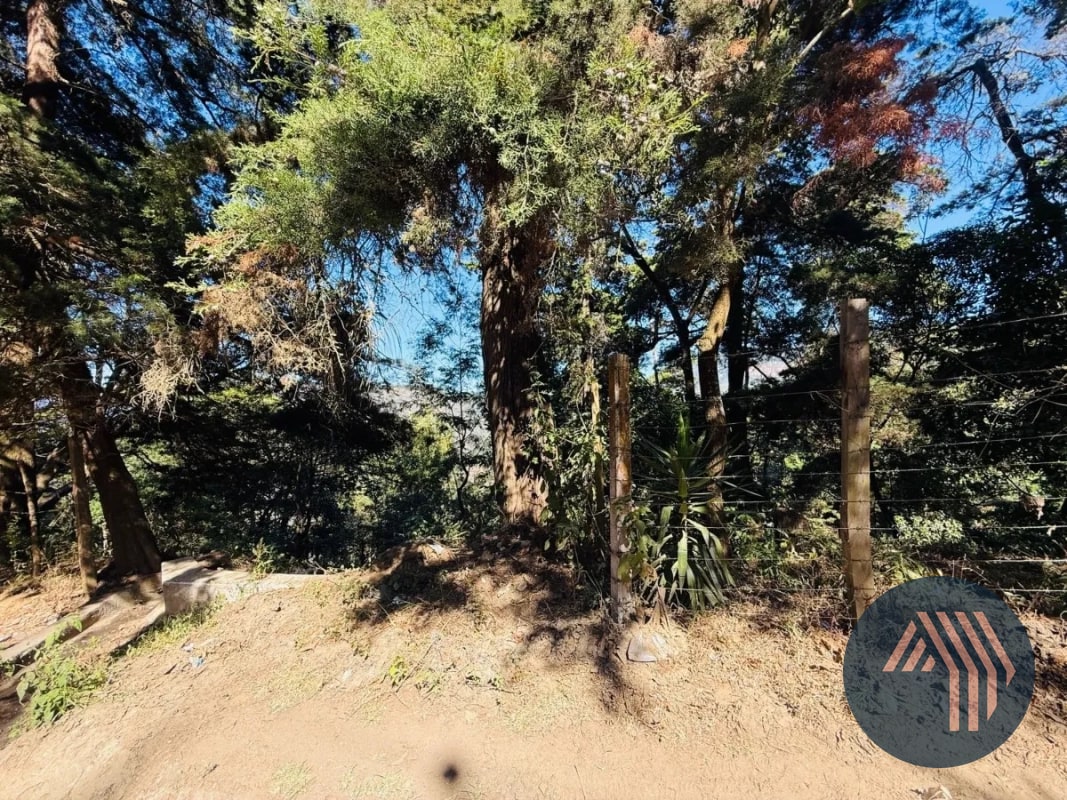 VENTA DE AMPLIO TERRENO - EL HATO, ANTIGUA GUATEMALA - 4