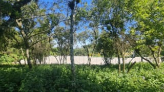 Terreno en Santa Catarina Pinula — Terreno en Venta en Santa Catarina Pinula, Guatemala, Ciudad — miniatura 3 de 3