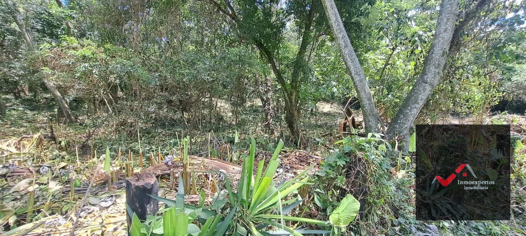 Terreno en Venta – Carretera a Palín, km 48 Ruta CA-9, Escuintla - 13