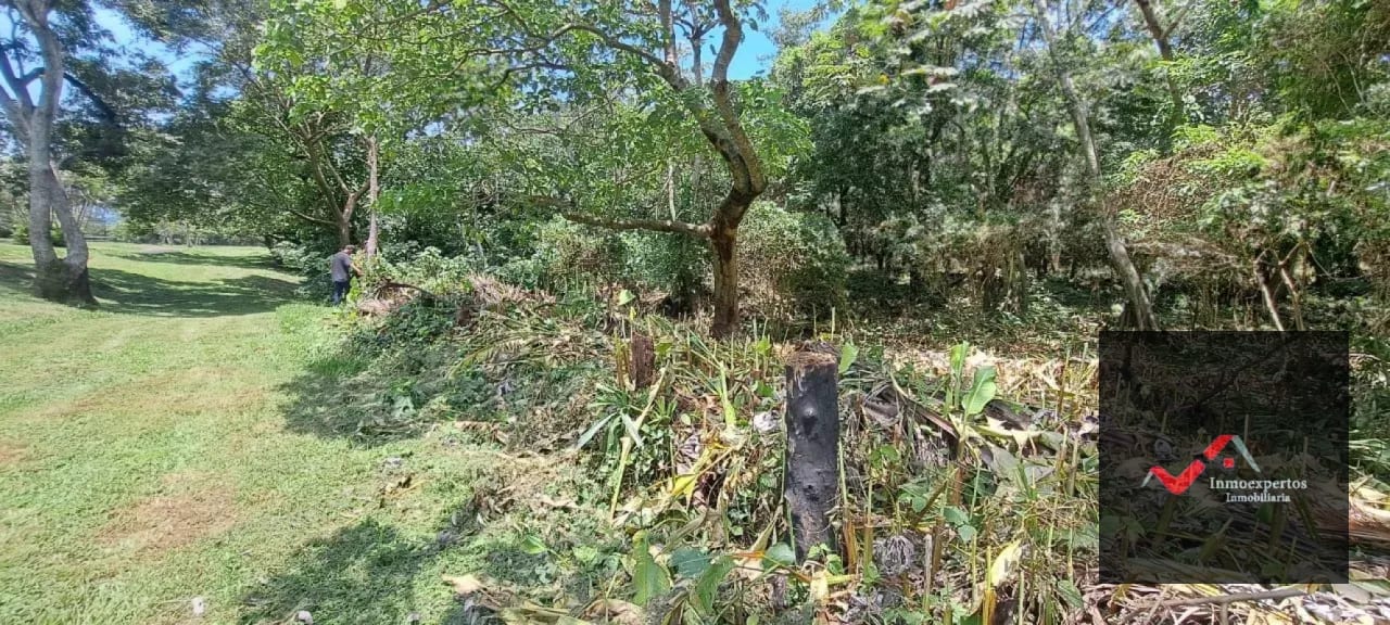 Terreno en Venta – Carretera a Palín, km 48 Ruta CA-9, Escuintla — Terreno en Venta en Palín, Escuintla — foto 13 de 15