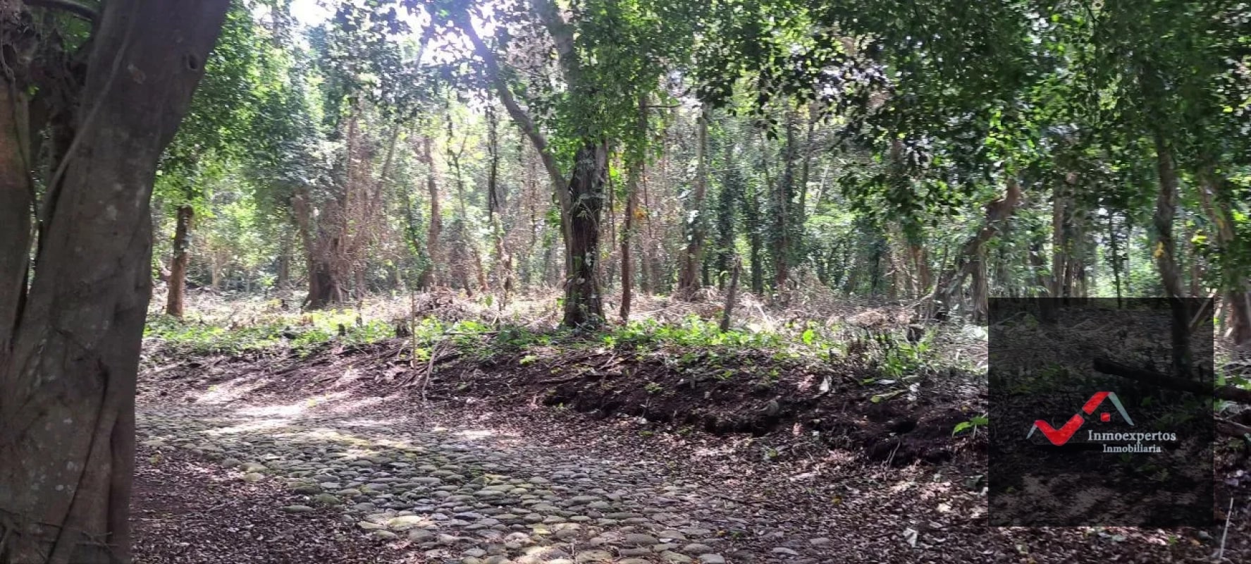 Terreno en Venta – Carretera a Palín, km 48 Ruta CA-9, Escuintla - 9