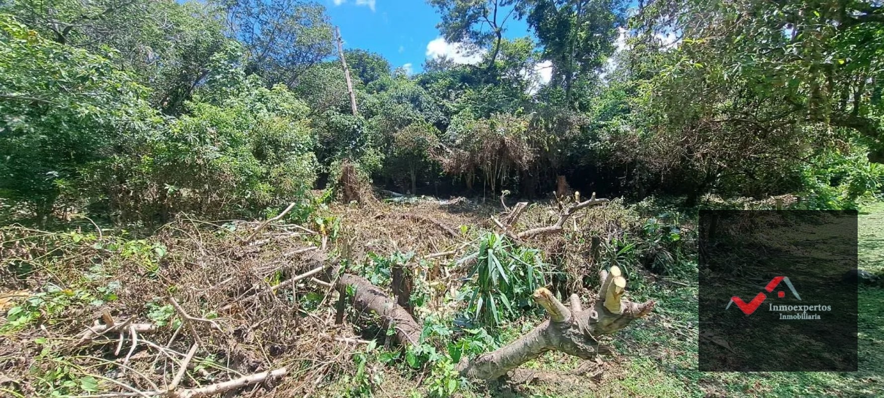 Terreno en Venta – Carretera a Palín, km 48 Ruta CA-9, Escuintla - 8