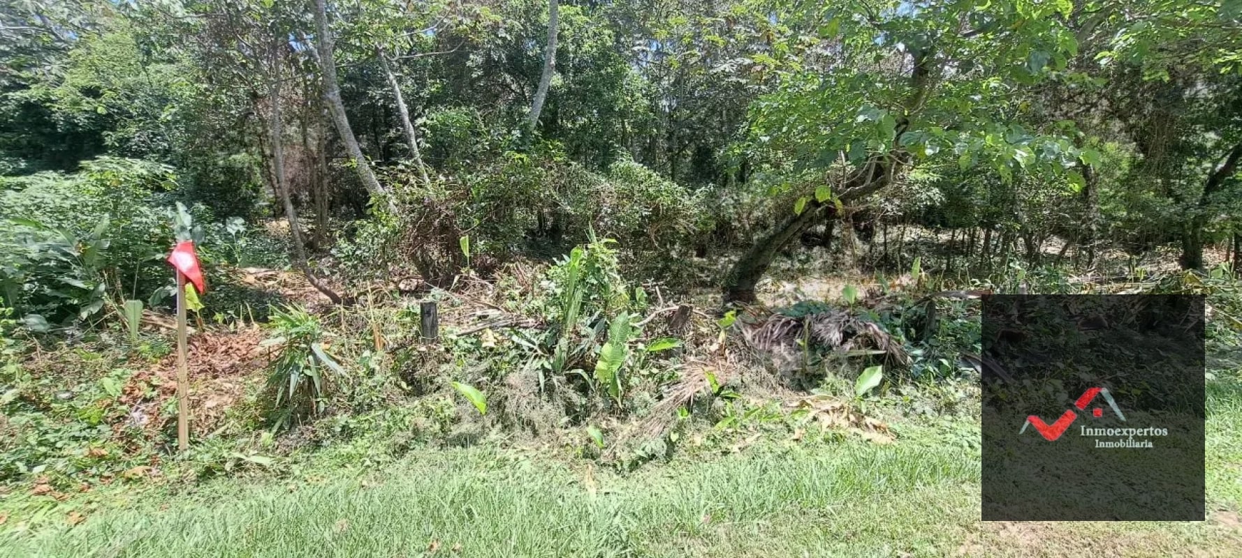 Terreno en Venta – Carretera a Palín, km 48 Ruta CA-9, Escuintla - 7