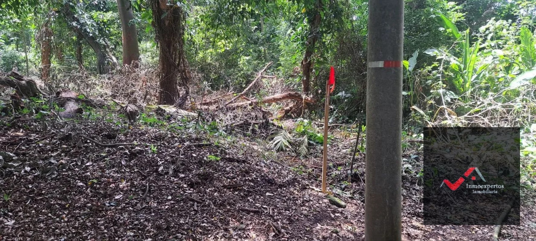 Terreno en Venta – Carretera a Palín, km 48 Ruta CA-9, Escuintla - 5
