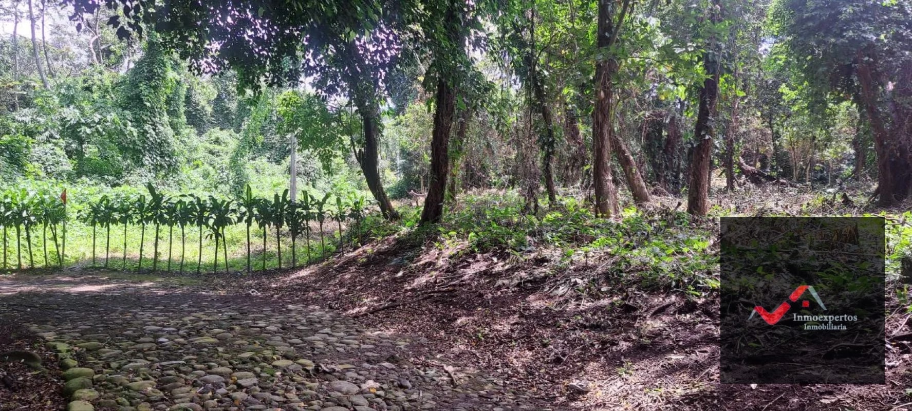Terreno en Venta – Carretera a Palín, km 48 Ruta CA-9, Escuintla - 4