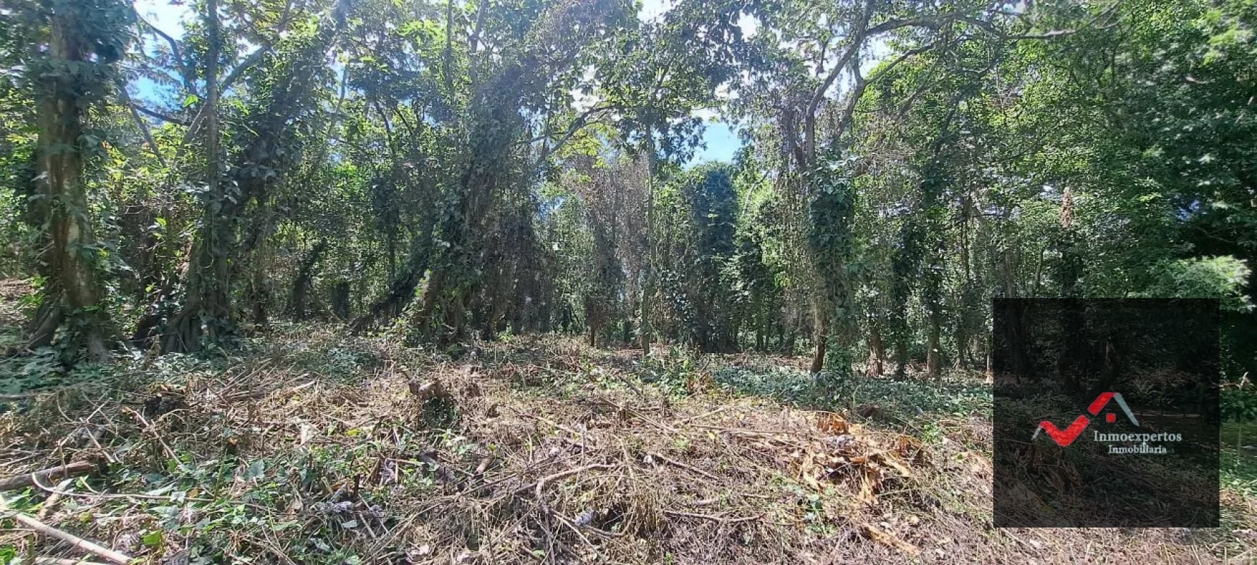 Terreno en Venta – Carretera a Palín, km 48 Ruta CA-9, Escuintla - 2