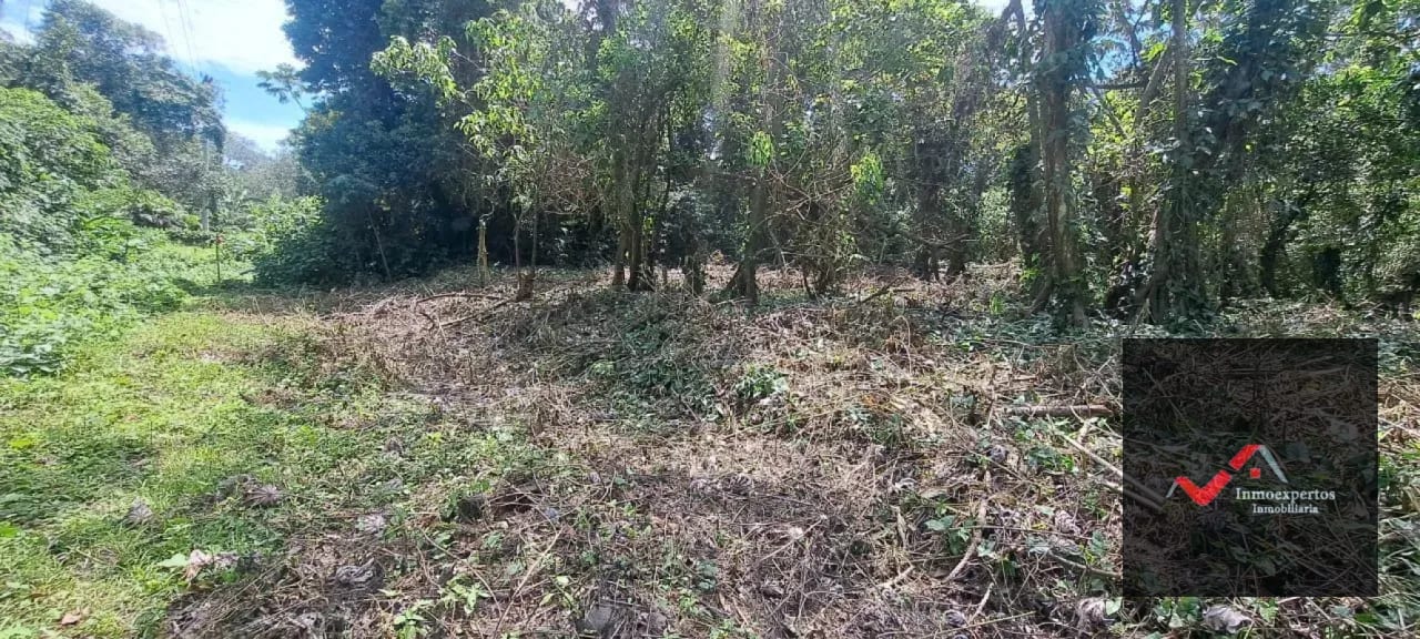 Terreno en Venta – Carretera a Palín, km 48 Ruta CA-9, Escuintla — Terreno en Venta en Palín, Escuintla — foto 2 de 15