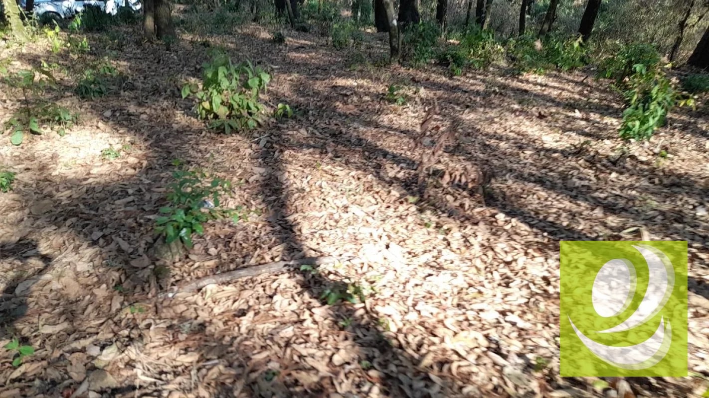 Terreno de Esquina en Venta en El Encinal Zona 7 Mixco - 6