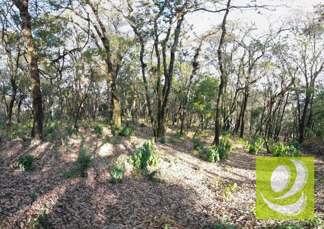 Terreno de Esquina en Venta en El Encinal Zona 7 Mixco - 3