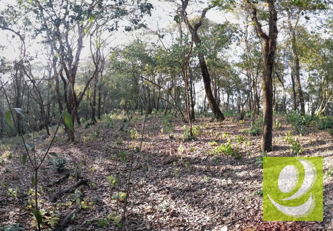 Terreno de Esquina en Venta en El Encinal Zona 7 Mixco - 2