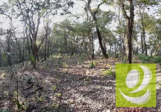 Terreno de Esquina en Venta en El Encinal Zona 7 Mixco — Terreno en Venta en Zona 7 Mixco, Guatemala, Ciudad — miniatura 3 de 7